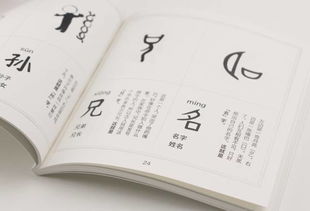感组词