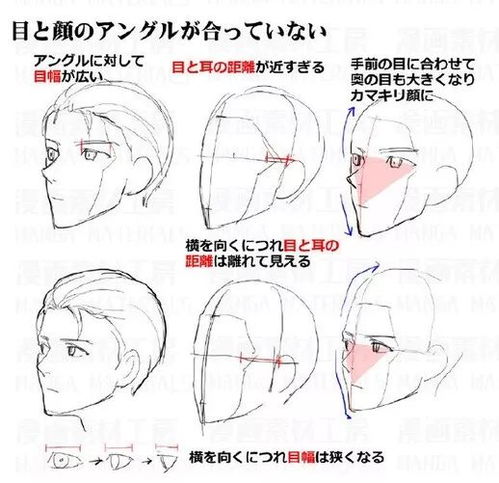 绘画都会怎么组词