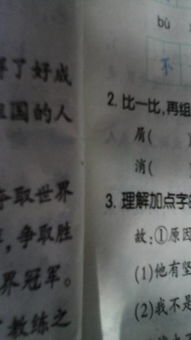 字怎么组词待