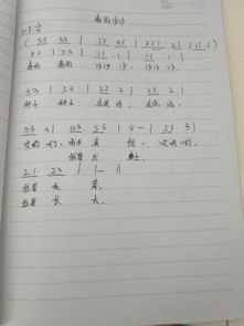 听琴的琴怎么组词