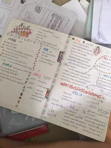 努力的努怎么组词