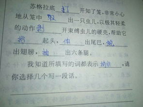 窜怎么组词