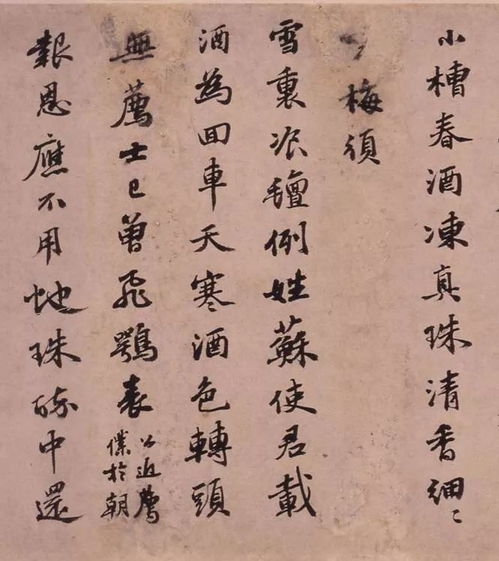 苏轼的词怎么组词呀
