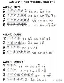 甭起的本怎么组词