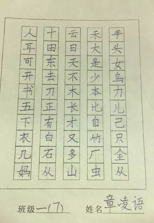 花怎么读组词