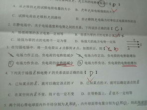 不带竖心旁的懒怎么组词