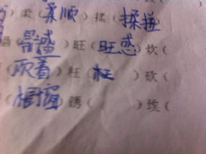 z是z怎么组词