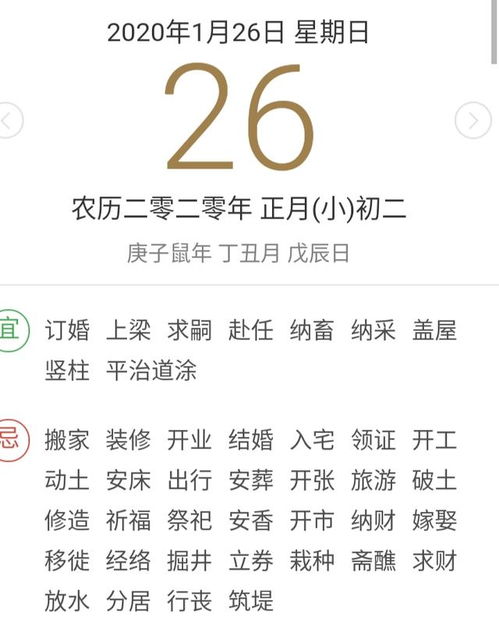 龙是忙的怎么组词