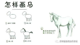弱怎么组词语