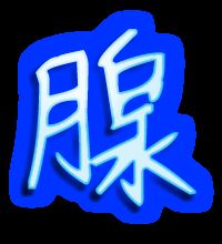 腺怎么组词
