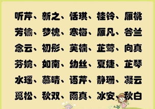 轩的名字怎么组词