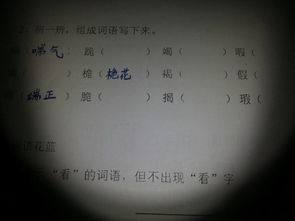 怎么组词已