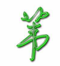 苇怎么组词
