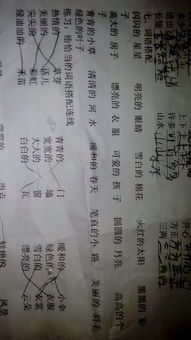 组词搭配怎么做的