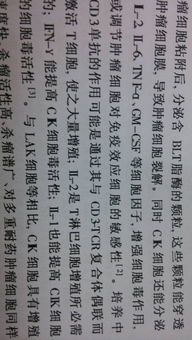 抗怎么组词语