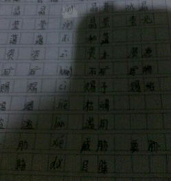啵嗷嗷怎么组词