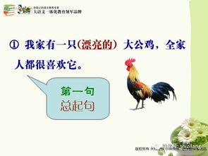 狡猾的猾组词