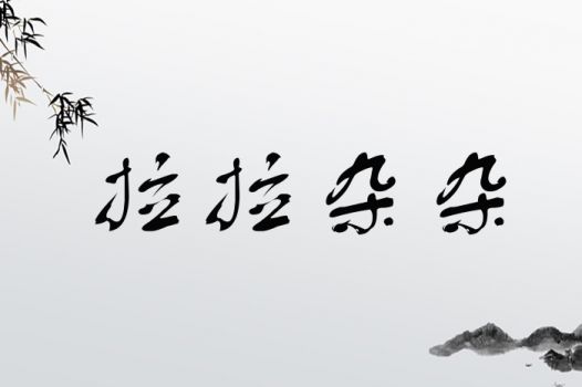 杂是怎么组词