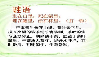 十拾金不昧的拾怎么组词