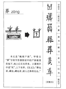 葬炊怎么组词
