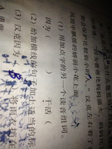 梢为怎么组词