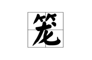 笼可以怎么组词