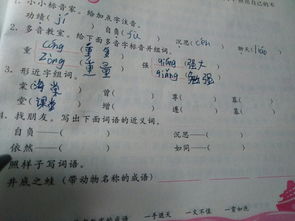 循尊怎么组词