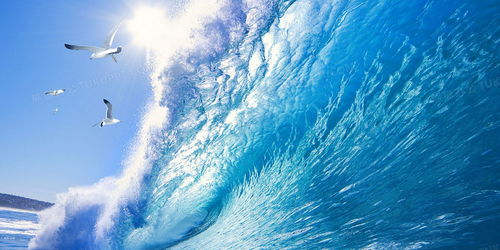 海浪的浪可以怎么组词