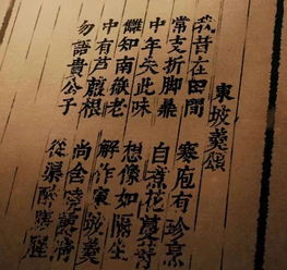 连可怜的怜怎么组词