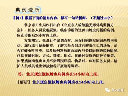 轮组词语