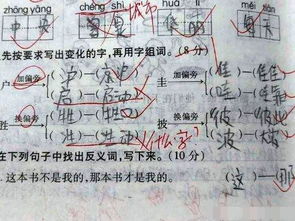 左右结构怎么组词