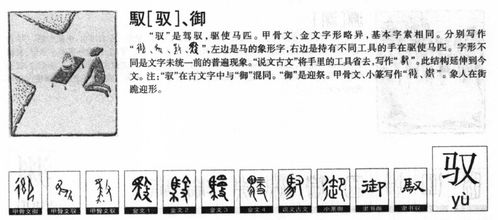 领怎么起名读组词