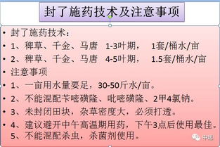 青布幔子怎么组词