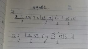 花花弹弹怎么组词