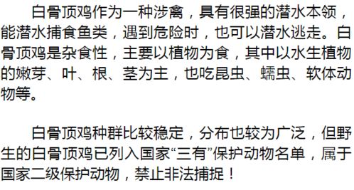 白岭的岭怎么组词