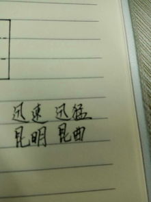 迅组词