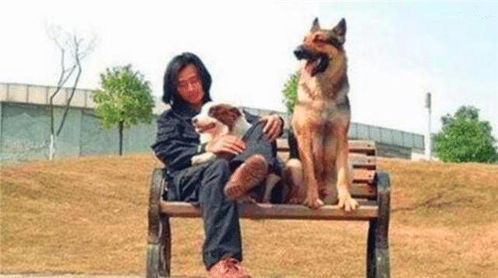 叫喊的叫声怎么组词