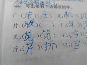 万能怎么加偏旁组词