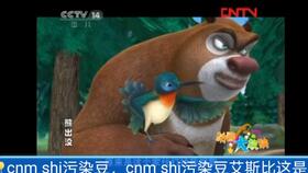 放熊出没怎么组词