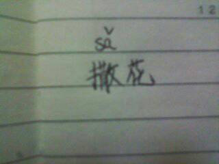 撒怎么怎么组词