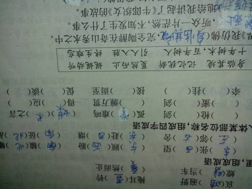 释字怎么组词