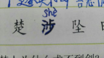 赤涉怎么组词