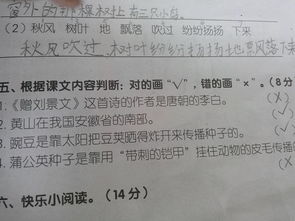 纷纷扬扬的怎么组词