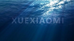 海底的海字怎么组词呀 海底的海字怎么组词呀