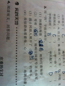 槽怎么组词填空题