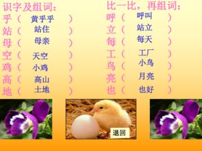 组词美怎么