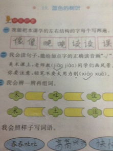 木拴怎么组词