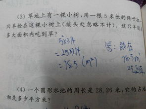 木拴怎么组词