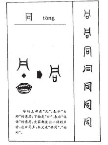 重复可以怎么组词