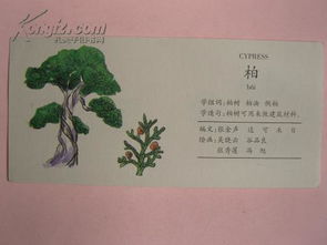 绘组词怎么